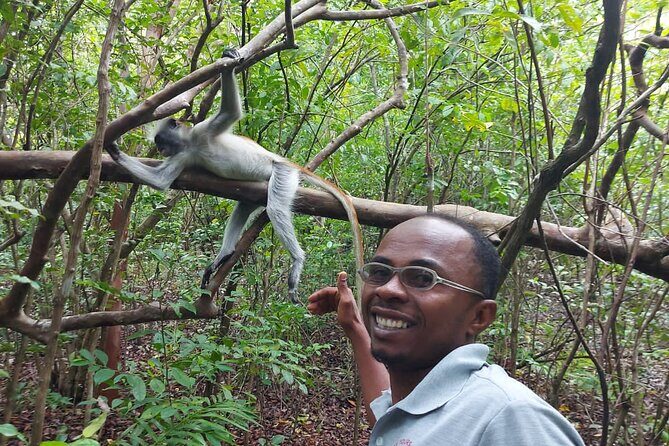 Jozani Forest Tour - Pickup, Private Pace, and Stone Town Transfers