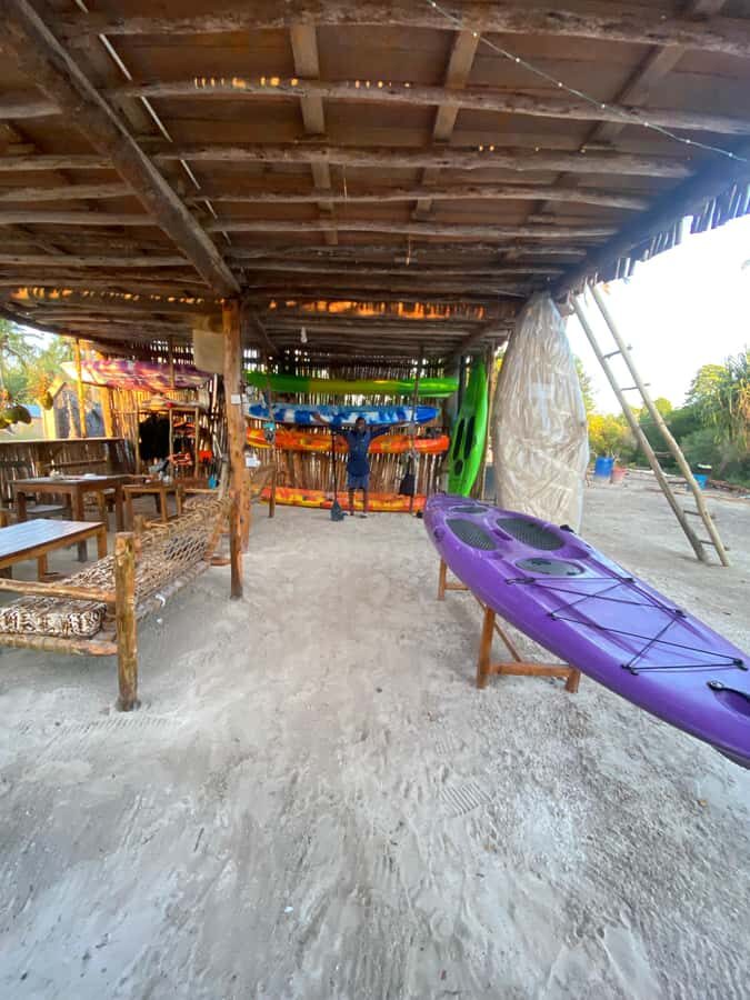 Kayak Mangrove Tour - Price and Value: Is $45 Worth It for a 2-Hour Kayak Tour?
