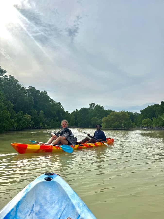 Kayak Mangrove Tour - Gear and Comfort: The Setup That Makes Beginners Relax