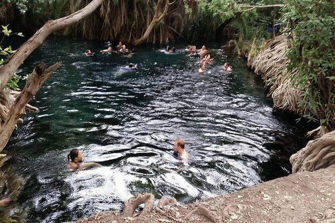 Kikuletwa (Chemka) Hot Springs Day Tour - Entering Chemka’s Water: Swim, Snorkel, or the Fish Pedicure
