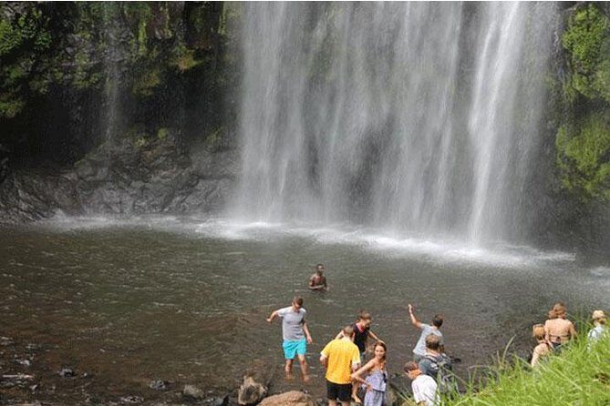 Kikuletwa (Chemka) Hot Springs Day Tour - Guide Service: What You’re Paying For Beyond the Entrance Ticket