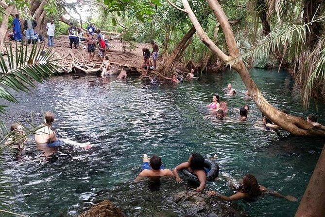 Kikuletwa (Chemka) Hot Springs Day Tour - Who Should Book This Tour (and Who Might Skip It)