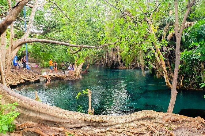Kikuletwa Hot spring - Rope swing energy vs. pure relaxation: choosing your pace