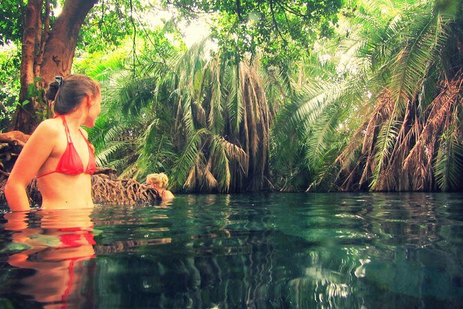Kikuletwa Hot Spring Day Tour - A Desert-Edge Spring That Looks Like a Dream
