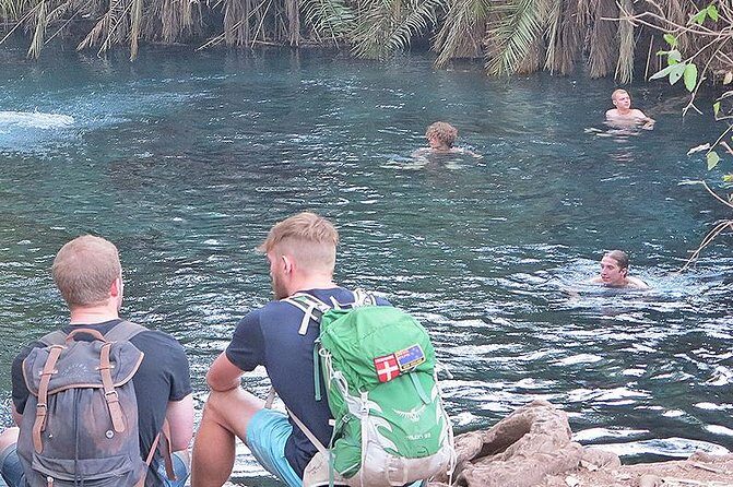 Kikuletwa Hot Spring Day Tour - The Main Event: Arriving at Kikuletwa and Building Your Own Pace
