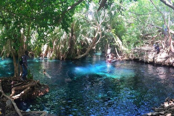 Kikuletwa Hot Spring Day Tour - Getting There from Arusha or Moshi (and Why It Matters)