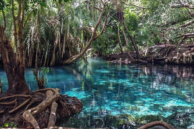 Kikuletwa Hot spring - The Kilimanjaro angle: what to expect on the drive