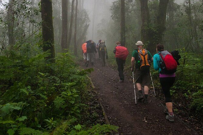 Kilimanjaro 1 Day Hike - What’s included—and why that changes the value