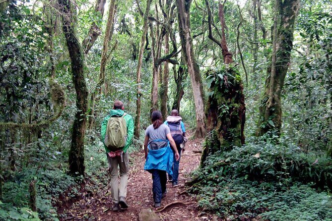 Kilimanjaro 1 Day Hike - When the weather matters most