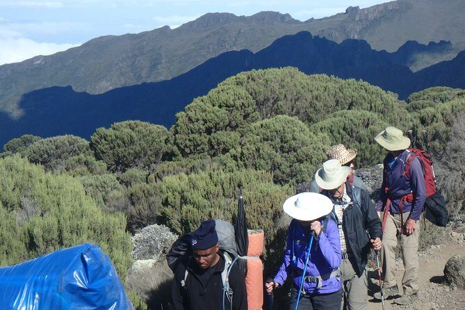 Kilimanjaro 2 days Hike - Why the Marangu Route fits a 2-day Kilimanjaro goal