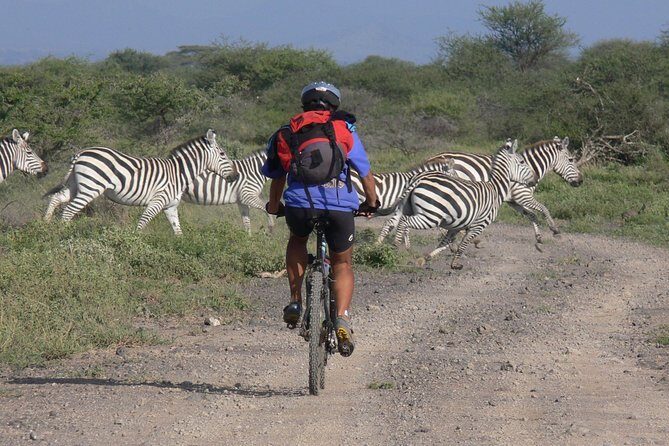 Kilimanjaro 360 - Day 3 through Enduimet: big country, elephants in the story