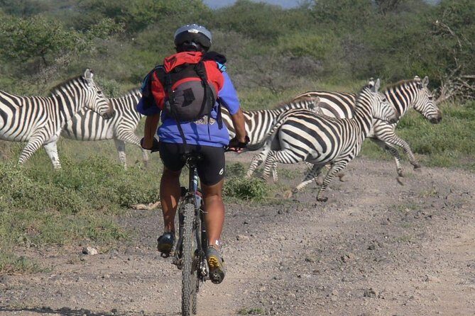 Kilimanjaro bike park safari - Key things to know before you book