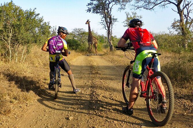 Kilimanjaro bike park safari - Why this Kilimanjaro bike safari feels different