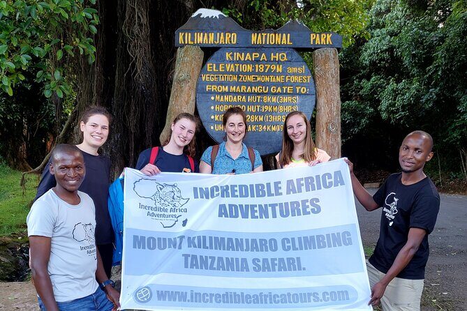 Kilimanjaro Climb - 6 Days Marangu Route - The route in your head: altitude steps from rainforest to summit night