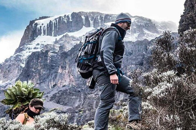 Kilimanjaro Climb - 7 Days Machame Route - Should you book Incredible Africa Adventures for the Machame Route?