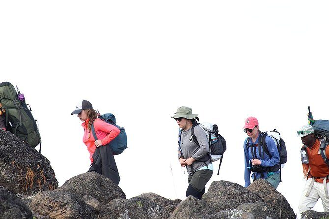 Kilimanjaro Climb- 8 Days Lemosho Route - Why the Lemosho Route feels like more than a hike