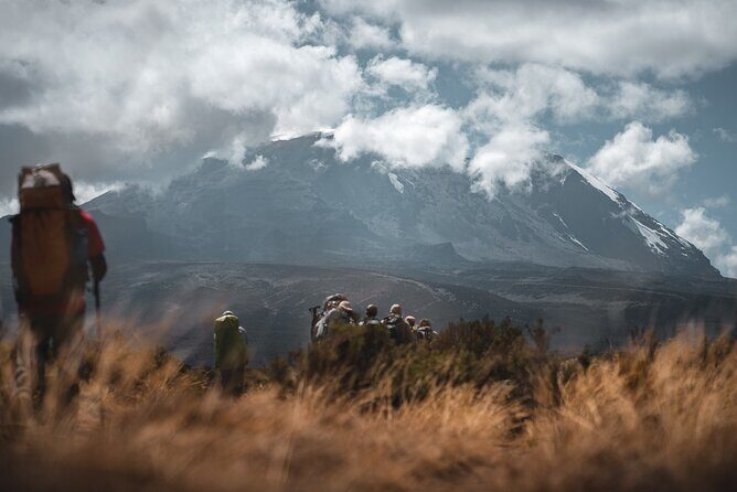 Kilimanjaro climb by Lemosho Route (7-day) - From Millennium Camp down to Mweka Gate: rainforest relief and the finish ritual