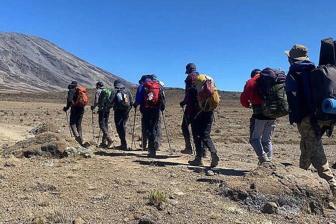 Kilimanjaro Climb by Rongai Route 6 days - Moshi and your first day: JRO to hotel, with gear sorted