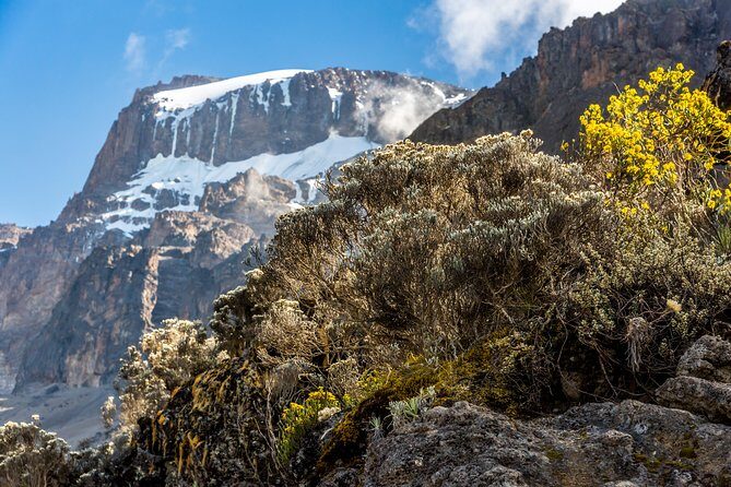 Kilimanjaro climb, Kilimanjaro Crater route (10-day) - Around Kilimanjaro’s northern slope toward the Kenya-border views