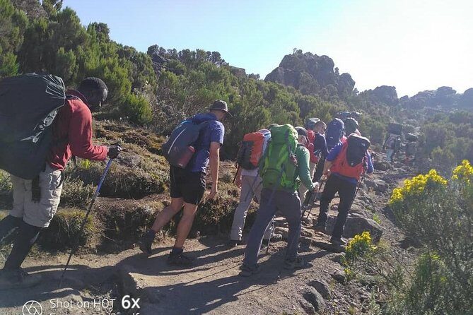 Kilimanjaro Climb- Lemosho Route - Your Start Time and What It Means for Planning