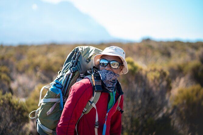Kilimanjaro climb, Lemosho Route (6-day) - Day 7: Mweka Gate exit through rainforest relief
