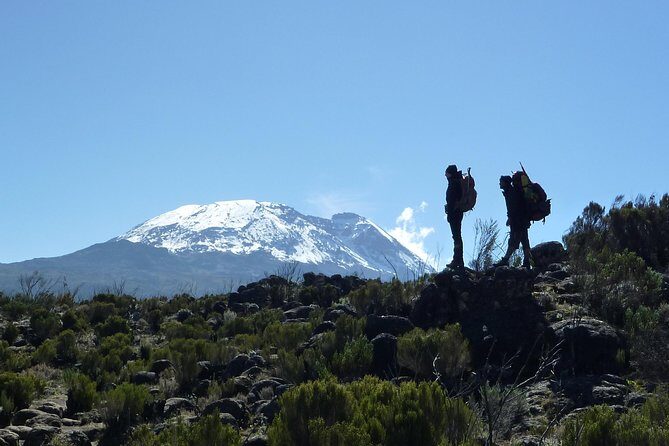 Kilimanjaro Climb • Machame Route ~ 10 Day - Day 5: Lava Tower to Barranco, Plus Kibo and Glacier Views