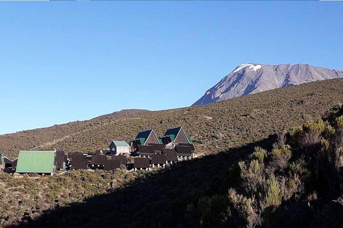 Kilimanjaro Climb Marangu Route 6 days - Day 6: Long rainforest descent to Marangu Gate and certificates
