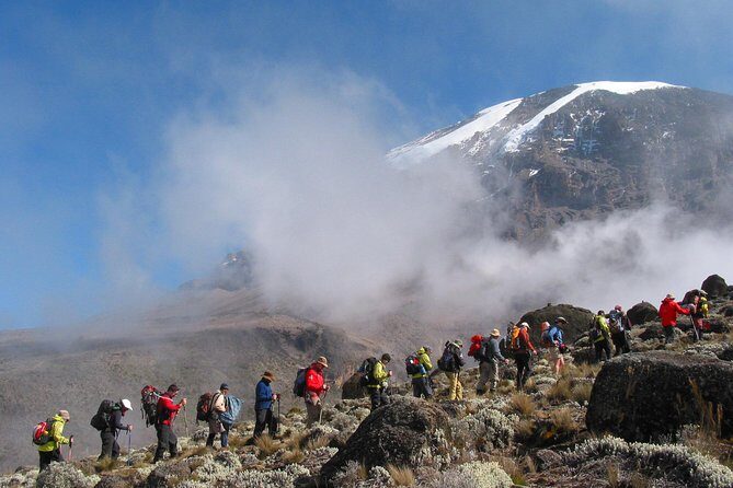 Kilimanjaro Climb • Marangu Route ~ 9 Day - Day 4 to Horombo Hut: heath and moorland with first major views