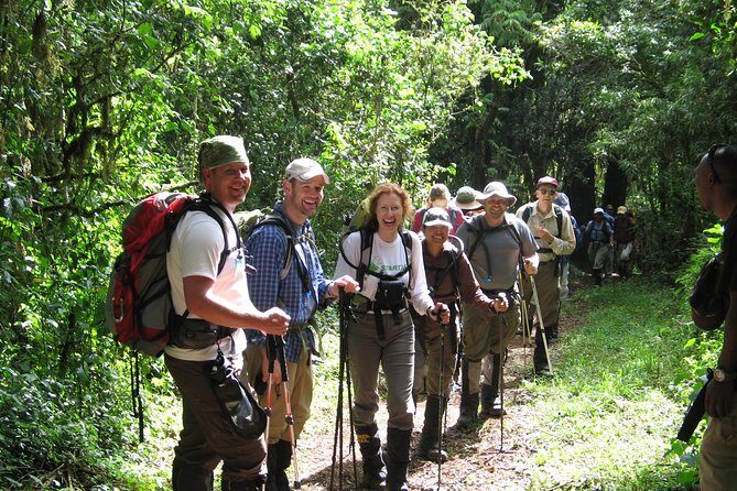 Kilimanjaro Climb • Marangu Route ~ 9 Day - Day 5 at Horombo: acclimatization isn’t a suggestion