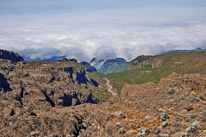 Kilimanjaro climb, Rongai Route (6-day) - Why Rongai Feels Different on Kilimanjaro