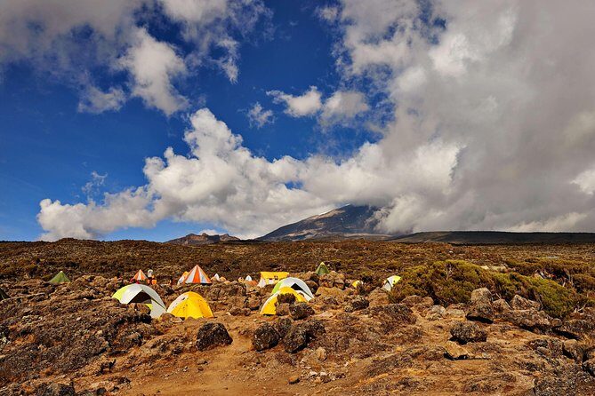 Kilimanjaro climb, Rongai Route (6-day) - Your Start in Moshi: JRO Arrival and the Aishi Machame Base