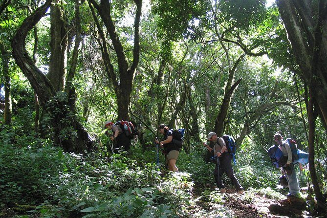 Kilimanjaro Climb & Safari - Lemosho Route - 13 Day - Barranco Wall to Karanga: your first real test of the route