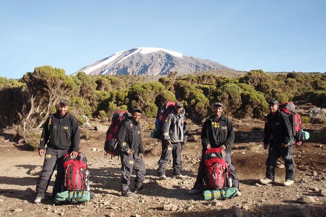 Kilimanjaro Climb & Safari - Lemosho Route - 13 Day - Rainforest day 3: Lemosho Glades, Turaco, and the slow build