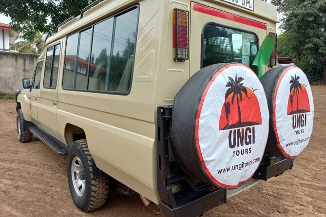 Kilimanjaro climb via Marangu Route 6Days - Moshi Start: The Value of Two Nights Before and After