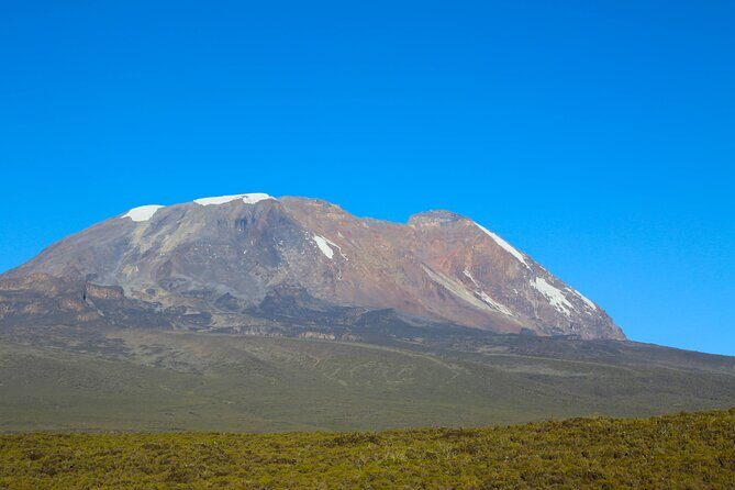 Kilimanjaro Climbing Rongai Route - Habari Adventure Guides: Why Local, Safety-First Support Matters