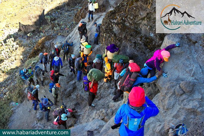 Kilimanjaro Climbing Umbwe Route - Barranco Valley day: thinning forest, big views, and a sunset in camp