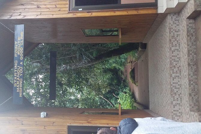 Kilimanjaro Day Hike - Marangu Gate to Mandara Hut: The Middle of the Story