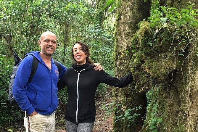 Kilimanjaro Day Hike - Private Tour Pace: Why It Feels Better Than a Rush
