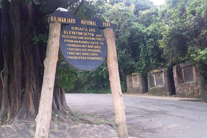 Kilimanjaro Day Hike - Price and Value: Is $250 a Fair Deal?