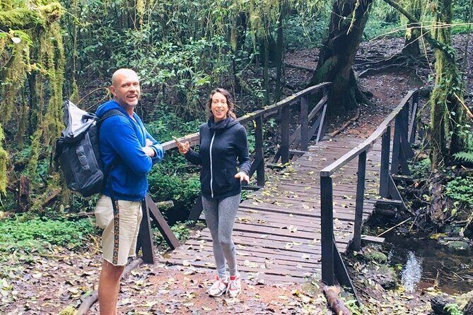 Kilimanjaro Day Hike - Rainforest Walking: Wildlife, Birds, and Plant Spotting