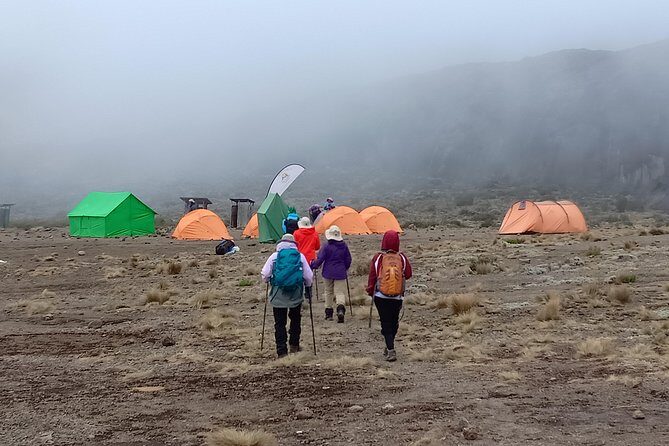 Kilimanjaro Experience 7 Days Lemosho route - First: what you’re really buying for $1,000 in Moshi