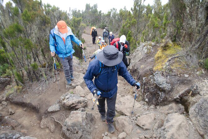 Kilimanjaro Lemosho Route 7 Days - Day 3: Shark’s Tooth to the Alpine Desert Zone (3511m to 4175m)