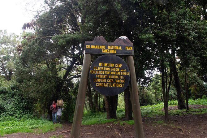 Kilimanjaro Lemosho Route 7 Days - Day 6: Midnight Summit Push—Stella Point to Uhuru Peak (5685m to 5882m+)