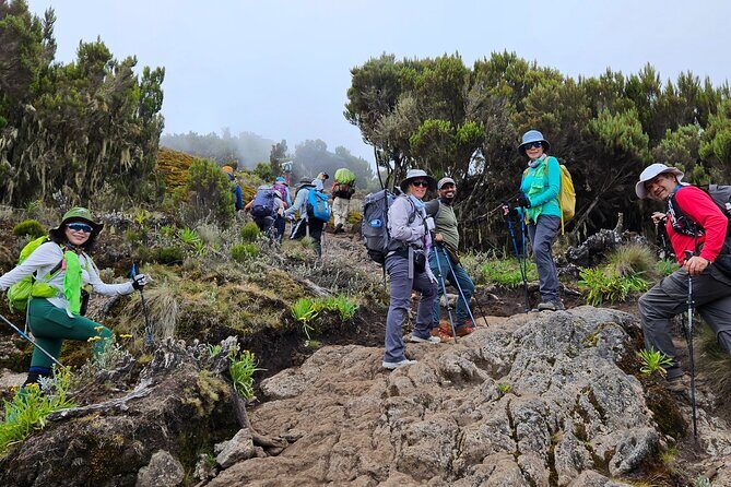 Kilimanjaro Lemosho Route 8 Days - Why the 8-day Lemosho plan fits a sunrise summit goal