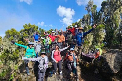 Kilimanjaro Lemosho Route 8 Days - Day-by-day: from Mti Mkubwa to the Shira Plateau