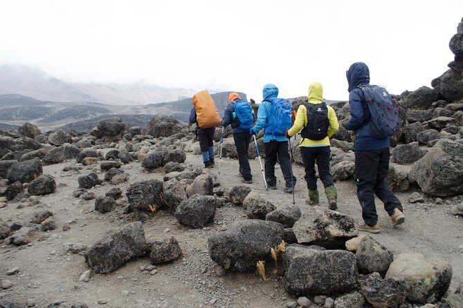 Kilimanjaro Lemosho Route 8 Days - Day 1: Londorossi Gate Registration to Lemosho Glades