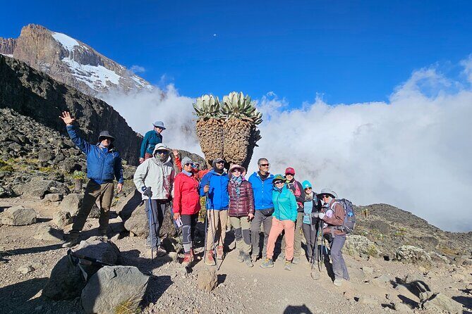 Kilimanjaro Lemosho Route 8 Days - Day 2: Pole Pole Ascending Through Montane Forest and Moorland to Shira Plateau