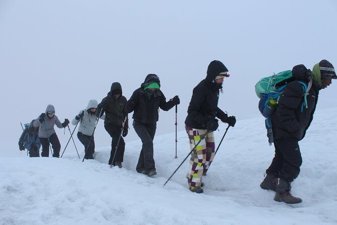 Kilimanjaro Lemosho Route 8 Days - Day 3: From Heather and Ridgelines Into Alpine Desert Toward Shark’s Tooth