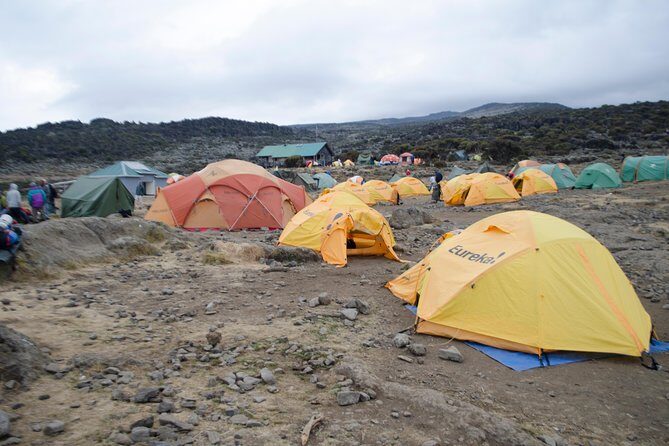 Kilimanjaro Lemosho Route 8 Days - Day 4: Lava Tower Lunch and Optional Rock Scramble, Then Down Into Great Barranco