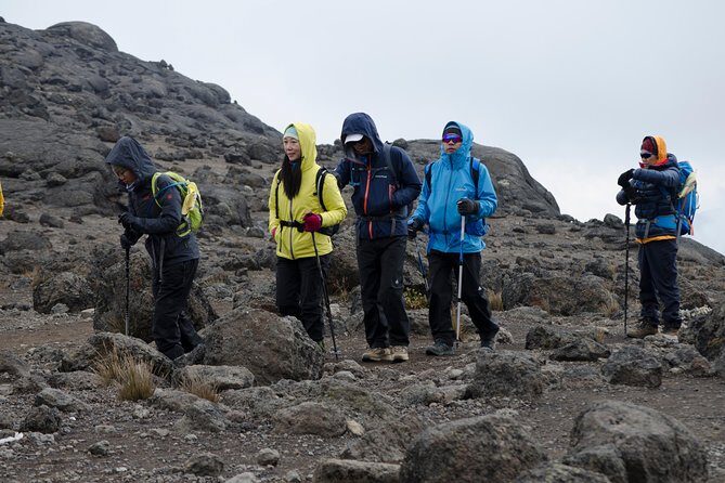 Kilimanjaro Lemosho Route 8 Days - Day 5: The Great Barranco Wall Rock Climb Toward Heim Glacier Views